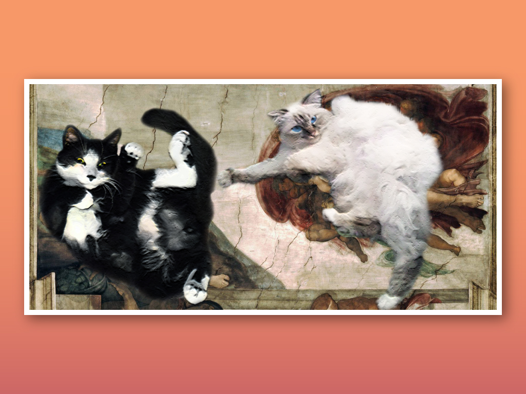 Cat Art